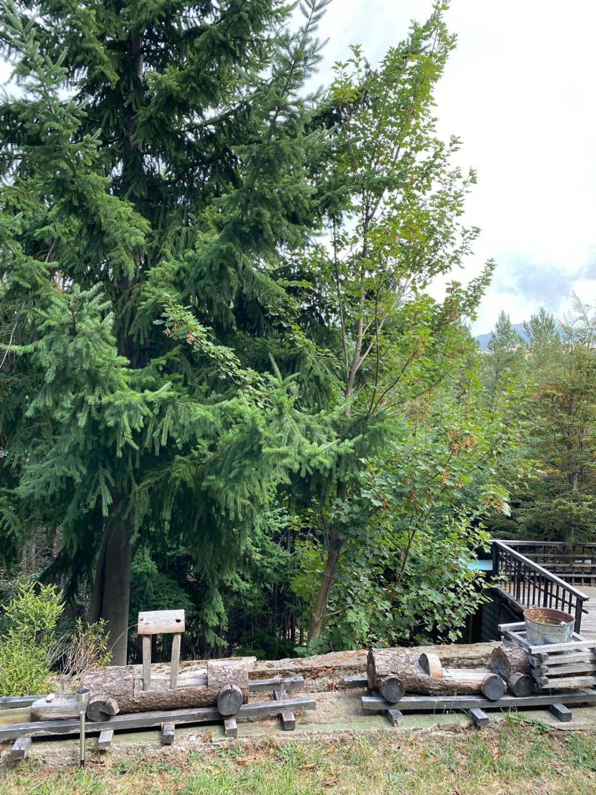 The Patagonian Lodge Coyhaique Esterno foto