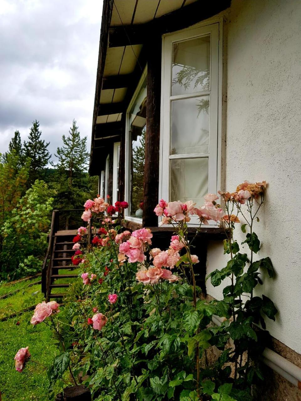 The Patagonian Lodge Coyhaique Esterno foto